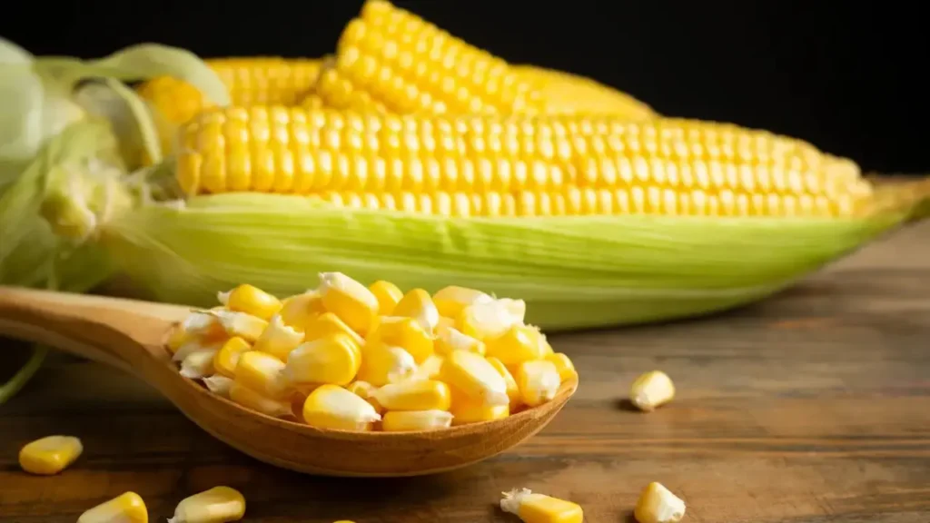 Historical Roots of Corny Jokes Corn Puns