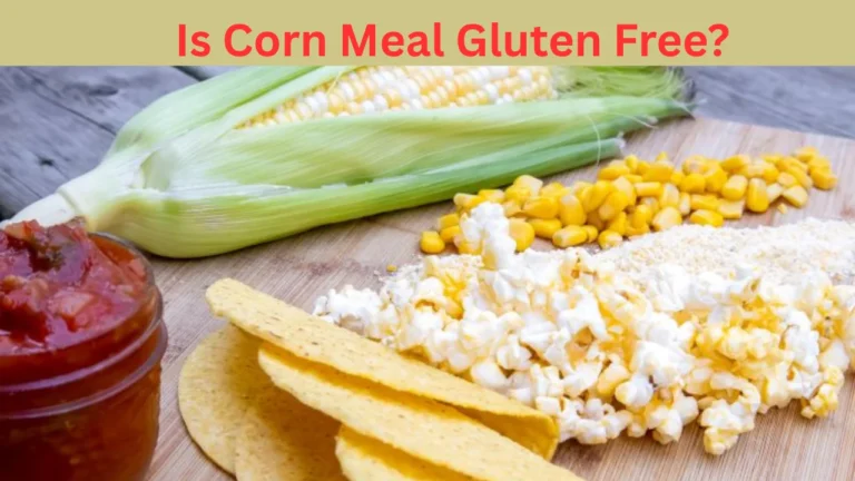 is corn meal gluten free